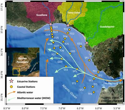 Rare earth elements distribution in the Gulf of Cádiz (SW Spain): geogenic vs. anthropogenic influence